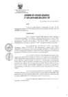 Vista preliminar de documento 1857619_CR-169-2019
