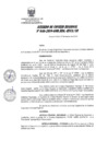 Vista preliminar de documento 306679_ACR-46-19