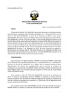Vista preliminar de documento res_PE_095_2020