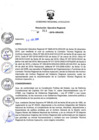 Vista preliminar de documento RER_313_2019