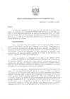 Vista preliminar de documento RA12