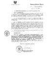 Vista preliminar de documento R.E.R. Nro 254-2020-GR-GR PUNO
