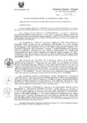 Vista preliminar de documento R.E.R. Nro 278-2020-GR-GR PUNO