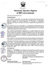 Vista preliminar de documento RER_021_2018