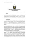 Vista preliminar de documento res_PE_101_2020