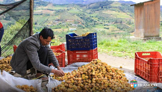 Peru noticias