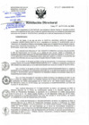 Vista preliminar de documento RD-207-09-2020