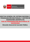 Vista preliminar de documento 2020 EXPO PROGRAMACIÓN MULTIANUAL DE INVERSIONES