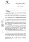 Vista preliminar de documento R.E.R. Nro 295-2020-GR-GR PUNO