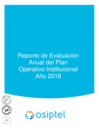 Vista preliminar de documento Reporte de Evaluación Anual del POI 2018