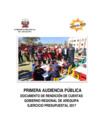 Vista preliminar de documento RESUMEN EJECUTIVO - Audiencia 01
