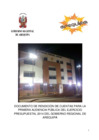 Vista preliminar de documento Resumen Ejecutivo - Audiencia 01