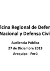 Vista preliminar de documento Defensa Civil - Audiencia 02