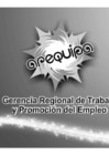 Vista preliminar de documento Gerencia Regional de Trabajo y Promoción del Empleo - Audiencia 02