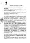 Vista preliminar de documento Ordenanza Municipal Nº 028-2013-MPT