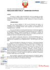 Vista preliminar de documento RD Nº D000089-2020-DE