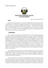 Vista preliminar de documento res_PE_105_2020