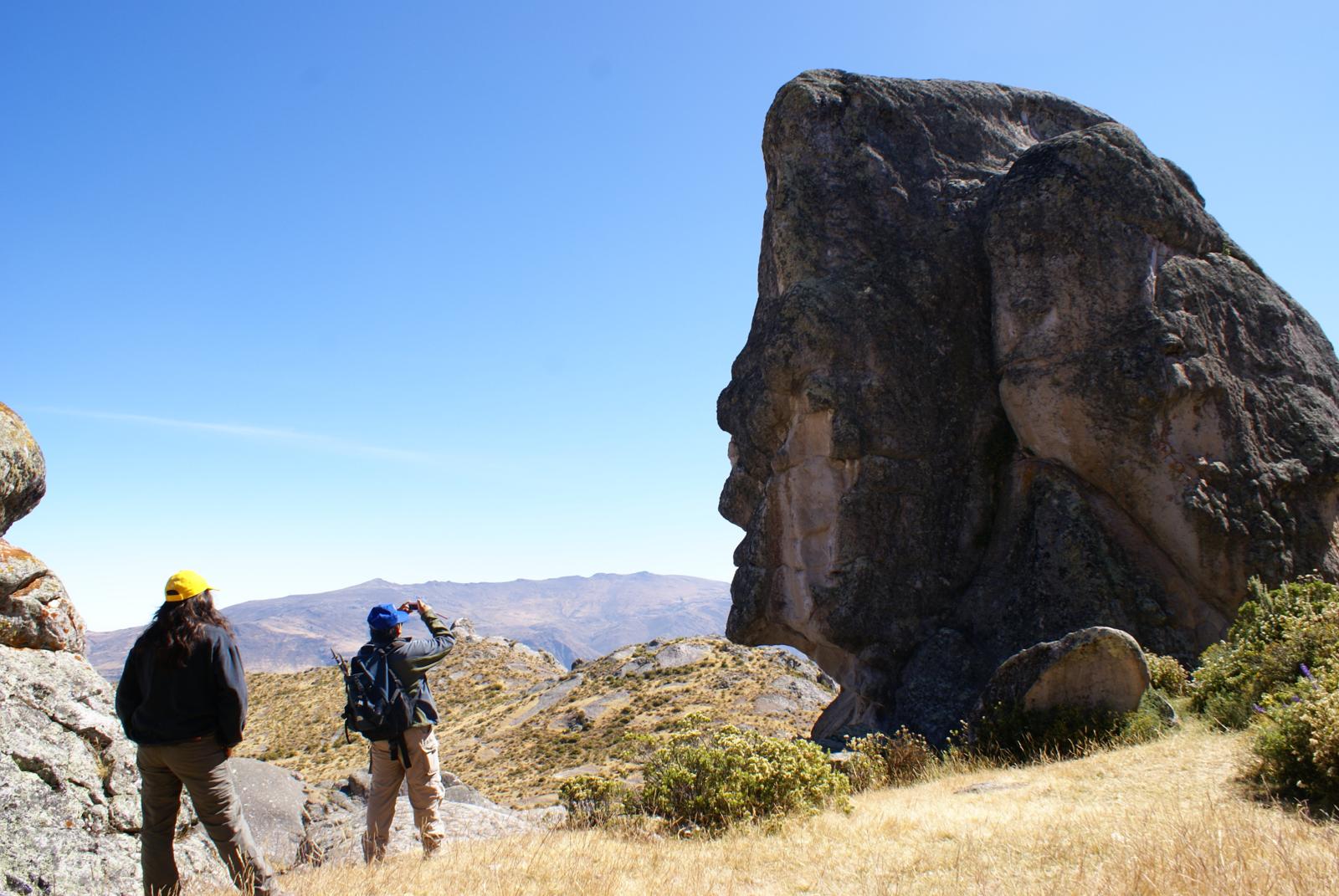 más de 15 webinars sobre diversos temas: turismo y bienestar, pautas y herramientas para optimizar la transformación digital, rutas gastronómicas en Tacna, turismo enológico y de naturaleza, entre otros.