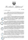 Vista preliminar de documento RJ Nº 247-2020