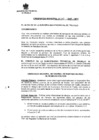 Vista preliminar de documento Ordenanza Municipal N&deg; 010-2007-MPT