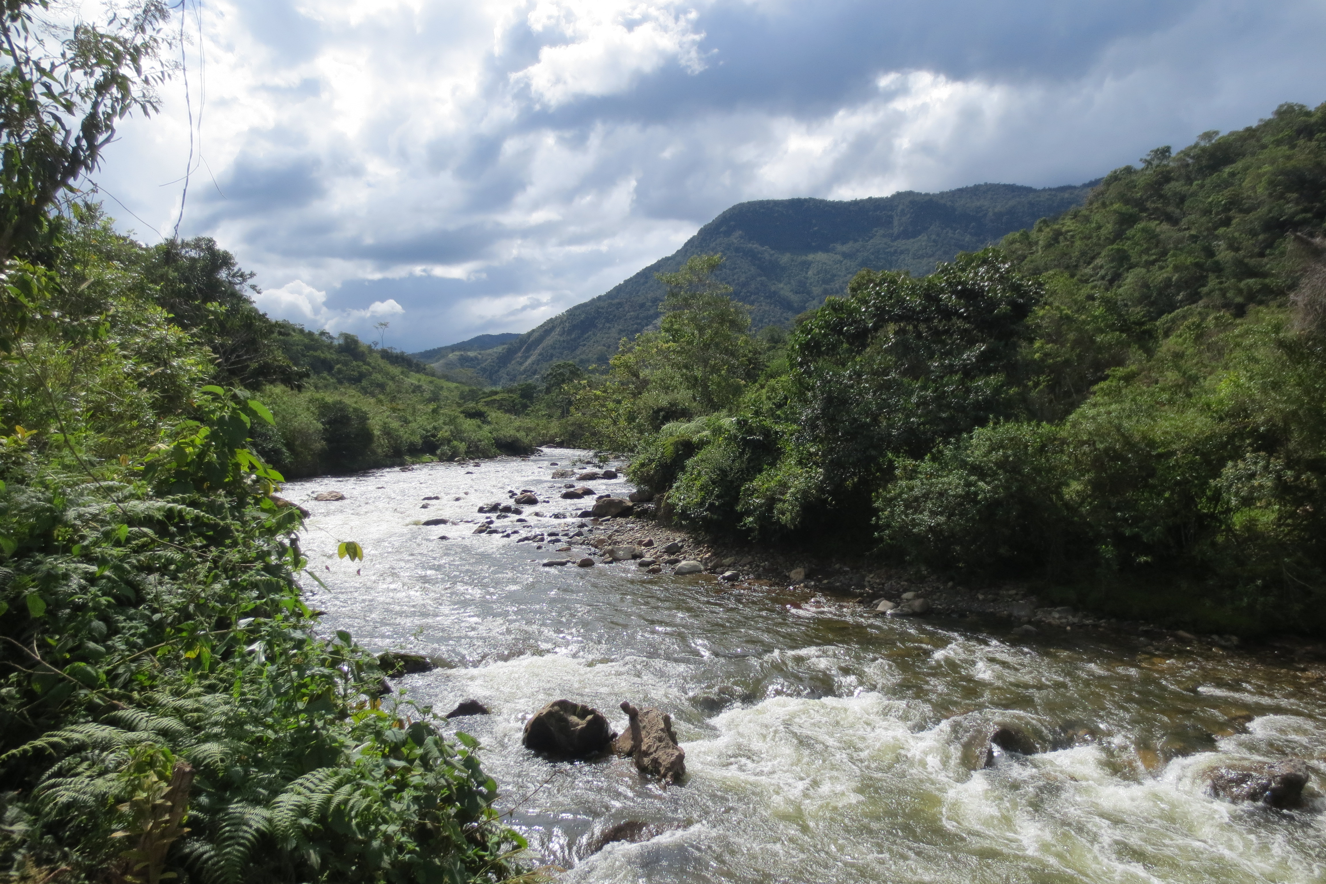 Peru noticias