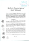 Vista preliminar de documento RER-213-2020-GOB