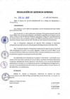 Vista preliminar de documento Resolución de Gerencia General