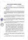 Vista preliminar de documento Resolución de Gerencia General
