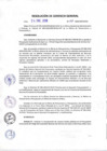 Vista preliminar de documento Resolución de Gerencia General