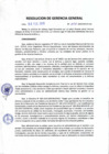 Vista preliminar de documento Resolución de Gerencia General
