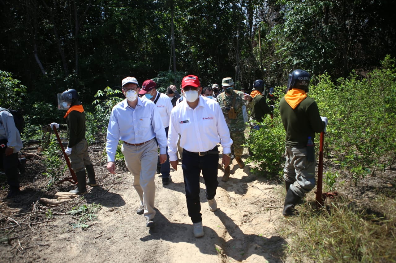 Perú reinicia operaciones de erradicación de cultivos de hoja de coca.