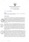 Vista preliminar de documento RDR_038_2020_ORADM