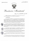 Vista preliminar de documento RM 771-2020-MINSA