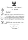 Vista preliminar de documento 2017