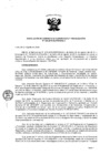 Vista preliminar de documento RG-Nª-125-2019-SUTRAN-06.3