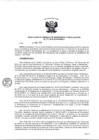 Vista preliminar de documento RG-N°-110-2019-SUTRAN-06.3