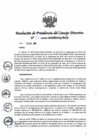 Vista preliminar de documento RES. PCD 07