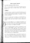 Vista preliminar de documento Decreto de Alcaldía N° 028-2010-MPT