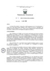 Vista preliminar de documento RESOLUCION DIRECTORAL Nº 011-2020-VIVIENDA-VMVU-DGPRVU.pdf