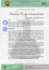 Vista preliminar de documento AC Nº10.pdf