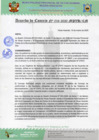 Vista preliminar de documento AC Nº16.pdf
