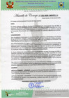 Vista preliminar de documento AC Nº22.pdf