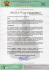 Vista preliminar de documento AC Nº25.pdf