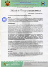Vista preliminar de documento AC Nº27.pdf