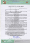 Vista preliminar de documento AC Nº33.pdf