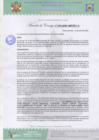 Vista preliminar de documento AC Nº34.pdf