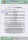Vista preliminar de documento AC Nº35.pdf