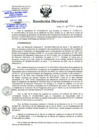 Vista preliminar de documento RD-228-10-2020.pdf