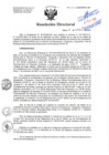 Vista preliminar de documento RD-234-10-2020.pdf