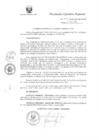 Vista preliminar de documento R.E.R. Nro 305-2020-GR-GR PUNO.pdf